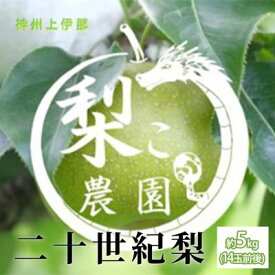 【ふるさと納税】【栽培期間中 無農薬】信州産 梨 二十世紀梨 約5kg（14玉前後） 先行予約 フルーツ 果物 長野 長野県産 信州産 デザート おすすめ 特産 産地直送 　お届け：2026年9月上旬～下旬ごろ