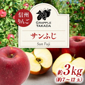 【ふるさと納税】信州りんご サンふじ3kg ※オンライン決済限定 りんご リンゴ 林檎 長野 フルーツ 果物 信州産 長野県産 特産 産地直送 おすすめ 　お届け：2026年11月中旬～12月上旬