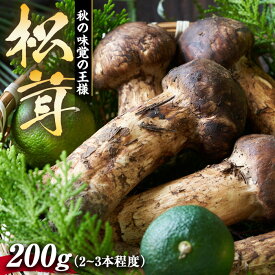 【ふるさと納税】まつたけ 200g 　【 長野県 箕輪町 】　お届け：2024年9月中旬～10月中旬頃