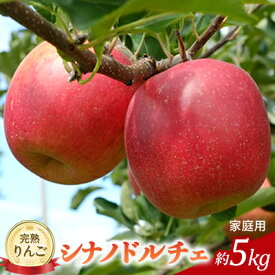 【ふるさと納税】先行予約 りんご シナノドルチェ 約5kg 家庭用 2026年 令和8年発送 完熟りんご・外観は不揃いだけど美味しいよ 果物 果物類 リンゴ 林檎 フルーツ 長野のりんご 信州産 長野県産 信州りんご デザート 食後　お届け：2026年9月中旬～9月下旬ごろ