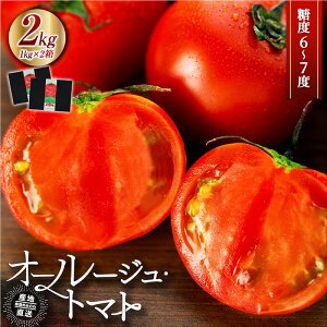 【ふるさと納税】トマト 長野 オールージュトマト 2kg 野菜 夏野菜 夏 旬 旬野菜 甘い 国産 ビタミン ミネラル 抗酸化 リコピン 美容 健康 フルーツトマト フルーツ 長野県産 長野県 箕輪町