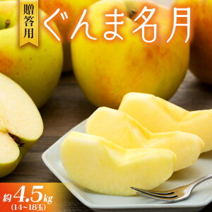 yӂ邳Ɣ[Łz ܖ 4.5kg 14`18 p ʕ  t|c ь S ܖ MB {̉ʕ {̃t[c Mtg 蕨 v[g  쌧 