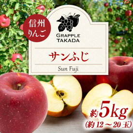 【ふるさと納税】信州りんご サンフジ 約5kg 果物 フルーツ 果物類 林檎 リンゴ 　お届け：2026年11月中旬～12月上旬