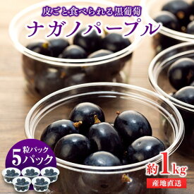 【ふるさと納税】ぶどう ナガノパープル 粒パック 約1kg 皮ごと食べられる黒葡萄 葡萄 ぶどう ブドウ 長野 フルーツ 果物 信州産 長野県産 特産 産地直送 おすすめ デザート 　お届け：2026年9月中旬～下旬ごろ