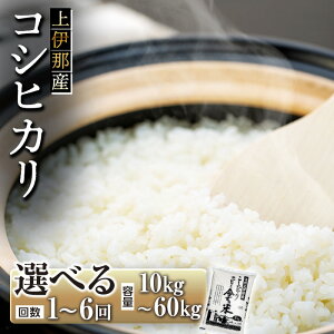yӂ邳Ɣ[Łz RVqJ 10kg Iׂ    쌧Y Ђ 10L   MBY Y Yn   R   쌧 ֒