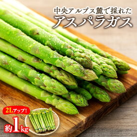 【ふるさと納税】アスパラガス　約1kg　2Lアップ　【 野菜 グリーンアスパラガス 春野菜 カロテン ビタミン 緑黄色野菜 栄養たっぷり 国産 長野県産 食材 食べ物 】　お届け：2024年6月上旬～下旬頃