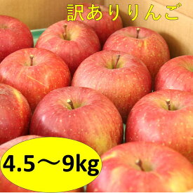 【ふるさと納税】【訳アリ】サンふじりんご 4.5kg～9kg 糖度13〜14保証 赤秀