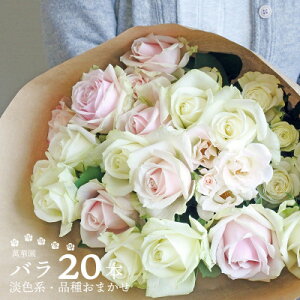 yӂ邳Ɣ[Łz݉؉̃o@WFn@20{yzsnFEkCEꌧEElEBzy1603010z