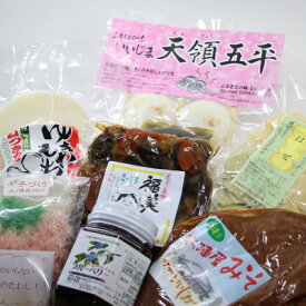 【ふるさと納税】まめっ子ふるさと便(五平餅・切り餅・米味噌・福神漬け・ブルーベリーソース・米菓・たわし)【1605741】