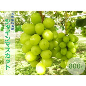 yӂ邳Ɣ[ŁzAvXR[̃VC}XJbg@800gyzsnFzy1657911z