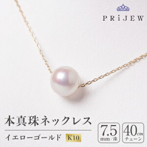 yӂ邳Ɣ[Łz{^@CG[S[h y_glbNXy1070466z