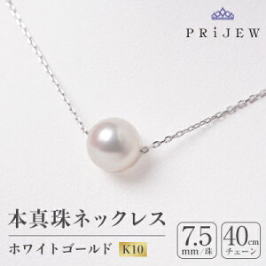 【ふるさと納税】本真珠 ・ ホワイトゴールドペンダントネックレス【1070468】