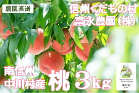 【ふるさと納税】富永農園の桃（あかつき）約3kg【8玉～12玉】