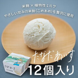 【ふるさと納税】棚田アイス-とろけるお米味（12個入り）
