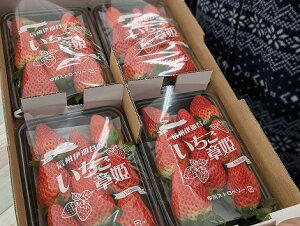 �y�ӂ邳�Ɣ[�Łz���쑺�̑嗱�������i�͕P�j��1000g�i4P�j[2025�N 1�����{�`�����\�� ���ʌ��� �_�ƒ��� �ʕ� �t���[�c ������ �C�`�S]