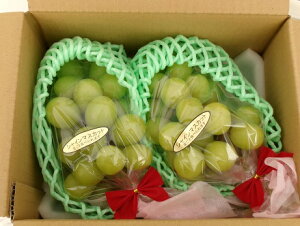 yӂ邳Ɣ[Łz{_̂ԂǂyNX}XpVC}XJbgz1Kg@[2025N 1219`24\ ʌ _ƒ ʕ t[c Ԃǂ]