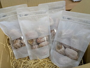 �y�ӂ邳�Ɣ[�Łz�݂Ȃݔ_���̎s�c�`�y1�������\��z[�` �����` ���` �s�c�` �_������]