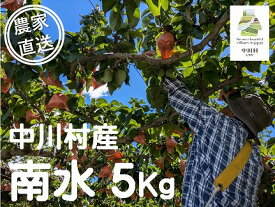 【ふるさと納税】みなみ農園のなし（南水）約5Kg