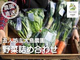 【ふるさと納税】五人坊主大島農園おススメの野菜詰め合わせ　[数量限定 産地直送 野菜]
