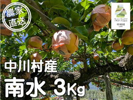 【ふるさと納税】森越農園のなし（南水）約3Kg