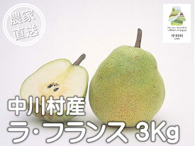 【ふるさと納税】中川村産西洋梨　ラ・フランス　約3Kg