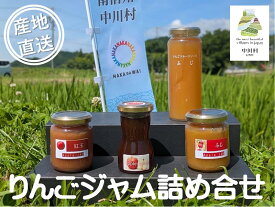 【ふるさと納税】つくっチャオ　中川村のりんごジャムセット