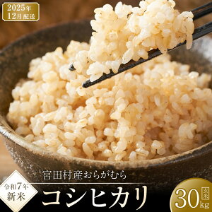 yӂ邳Ɣ[Łzy\tzyߘa7NāzyVāz쌧{cYRVqJ  10 ` 30kg IׂeʁEz