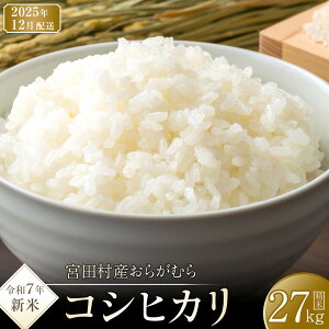 yӂ邳Ɣ[Łzy\tzyߘa7NāzyVāz쌧{cYRVqJ  9 ` 27kg IׂeʁEz