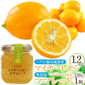 【ふるさと納税】（先行予約）【 南信州レモン 】ハウス栽培減農薬 「 マイヤーレモン 」（1.2kg）と無添加「マイヤーレモン ママレード」（150g×1個）宮田村 南信州産 ジャム マーマレード メイヤーレモン 柑橘 フルーツ ジャム 国産 レモンピール ギフト ヘルシー