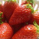 �ڤդ뤵��Ǽ�ǡ۴Ť�����̣�������ʼ��Ρ֥���ץ���������