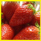 �ڤդ뤵��Ǽ�ǡ۴Ť�����̣�������ʼ��Ρ֥���ץ���������