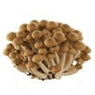 ���ʲ���3