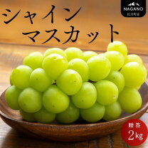 楽天市場】シャインマスカット 1kg（産地（都道府県）長野）の通販 