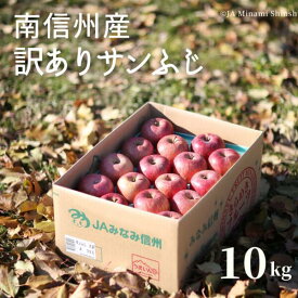 【ふるさと納税】南信州産 訳ありサンふじ 約10kg　訳あり 家庭用 りんご