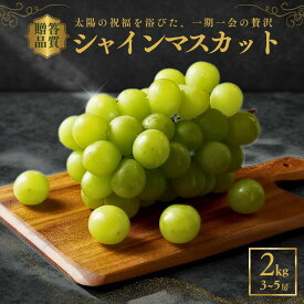 【ふるさと納税】＊2026年度発送＊シャインマスカット2kg ／9月中旬〜10月下旬 配送予定 ／ぶどう　葡萄　シャイン　マスカット　果物　フルーツ　人気 高評価　南信州産 種なし 長野県 フルーツギフト ギフト オススメ プレゼント 高級ぶどう 松川町 JA11