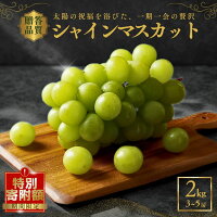 【ふるさと納税】＊スペシャルデイズ 6月11日まで＊ シャインマスカット ...