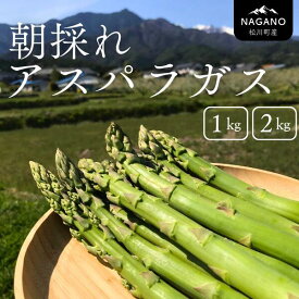 【ふるさと納税】朝採りアスパラガス1kg／2025年7月下旬～8月中旬頃出荷予定 国産 長野県松川町産　新鮮 アスパラ 春アスパラ 夏アスパラ KY01