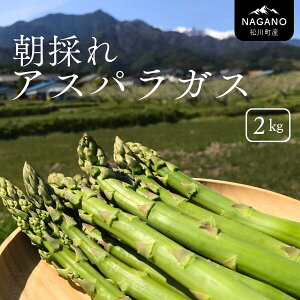 yӂ邳Ɣ[ŁẑAXpKX1kg^2025N7{`8{oח\ Y 쌧쒬Y@VN AXp tAXp ăAXp KY01