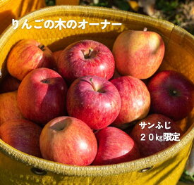 【ふるさと納税】2024りんごの木のオーナー20キロ限定 サンふじ オーナー 長野県 南信州