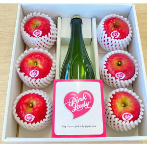 yӂ邳Ɣ[ŁzsNfB[REV[h MtgZbg   V[h  Mtg N Ε o^C zCgf[