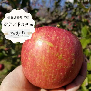 yӂ邳Ɣ[Łz Vimh`Fyƒpz3kg ` 5kg^9{甭\ 󂠂  MB̂