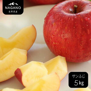 【ふるさと納税】りんご サンふじ(長野県産秀品)約3kg・約5kg・約10kg /11月下旬〜12月中旬頃配送予定 // 長野県 南信州 サンふじ りんご 果物 フルーツ 5kg 10kg MS14 MS15 MS16