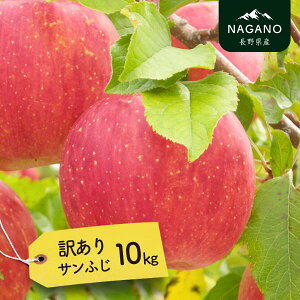 yӂ邳Ɣ[Łz 󂠂Tӂ 5kg or 10kg^2026N1{`2{z\ // 쌧 MB Tӂ  ʕ t[c t[hX MS17 MS18