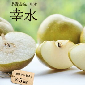 【ふるさと納税】 梨 幸水 約5kg（9～14玉）松川町産 贈答／8月下旬頃～配送予定 //南信州産 長野県 和梨 なし ナシ 5キロ 幸水 農家直送 農家支援 KW08