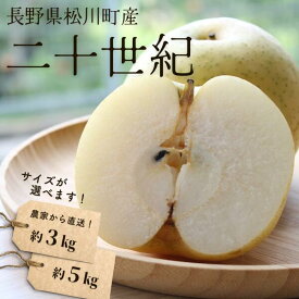 【ふるさと納税】梨 二十世紀 約3kg or 約5kg ／9月中旬頃配送～ 長野県 松川町産 贈答 和梨 20世紀梨 20世紀梨 3kg 5kg KW02 KW04