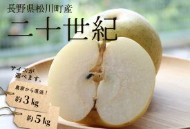 【ふるさと納税】梨 二十世紀 約3kg or 約5kg ／9月中旬頃配送～ 長野県 松川町産 贈答 和梨 20世紀梨 20世紀梨 3kg 5kg KW02 KW04