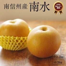 【ふるさと納税】梨 南水 約2kg or 約5kg／9月中旬頃～配送予定 糖度センサー選別 // 和梨 糖度センサー選別 厳選 南信州 長野県 和梨 なし ナシ 新鮮 厳選 贈答 贈答用 甘い 2キロ 5キロ JA09 JA29