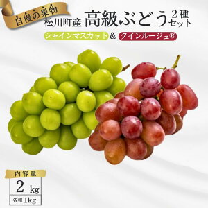 yӂ邳Ɣ[ŁzԂǂ2ZbgiVC}XJbg^NC[[WRj2kg^2025N9{ 쌧쒬Y@@Mtg@H