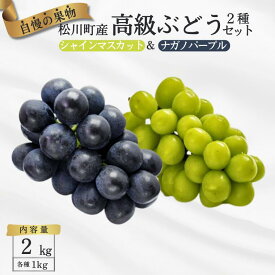 【ふるさと納税】＊2026年度発送＊ぶどう2種セット（ナガノパープル・シャインマスカット）約2kg ／2026年9月中旬～10月上旬頃発送予定 // 長野県松川町産 贈答 ギフト 稀少 高級ぶどう TK16