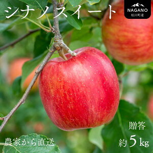 yӂ邳Ɣ[Łz VimXC[gi or ʁj  5kg^2025N10{甭\ MB 쌧 Mtg